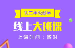 初二年級數(shù)學線上10人大班課